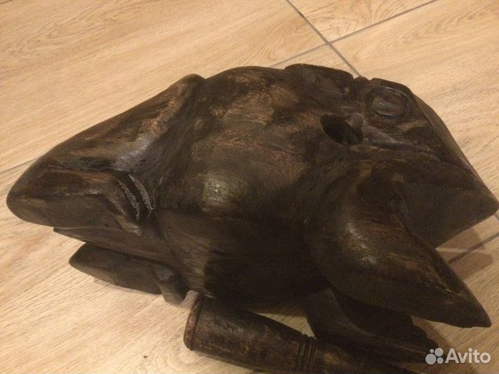 Лягушка дерево большая