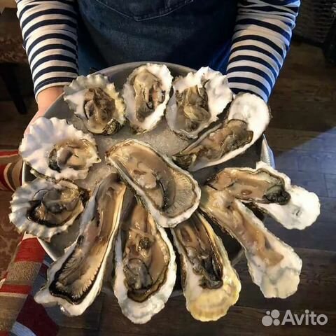 Устрица в наличии