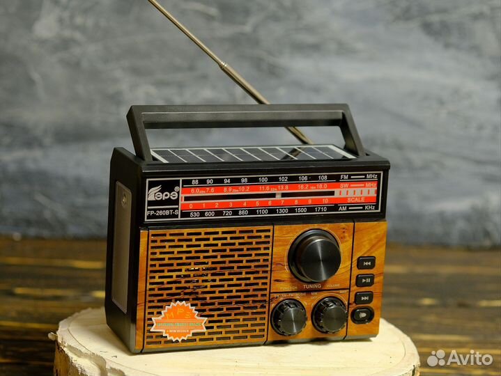Радиоприемник FP -260BT-S