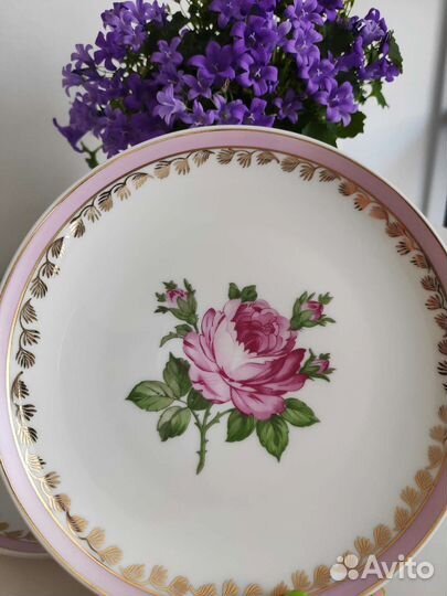 Тарелки Uhlstadt 