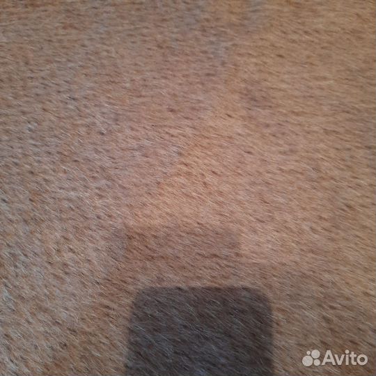 Ткань пальтовая финская шерсть времен СССР