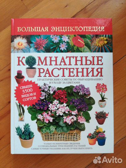 Энциклопедия Комнатные растения Практические совет