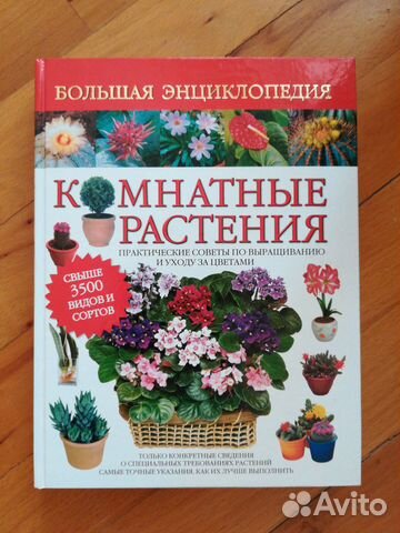 Энциклопедия Комнатные растения Практические совет