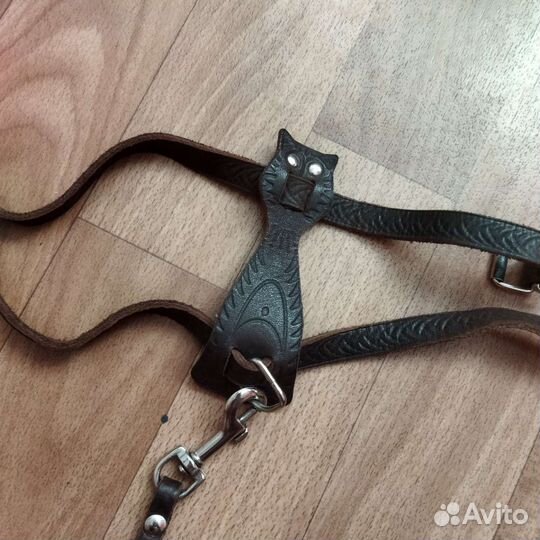 Поводок и шлейка для кошек