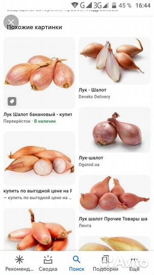 Лук. Семена лука чернушка. лук севок