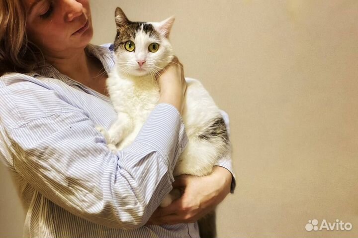 Замечательная,скромная, добрая кошечка