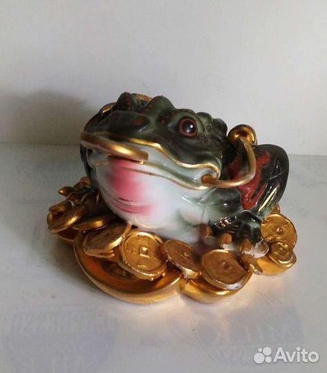 Жаба декоративная