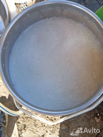 Молоко коровье домашнее