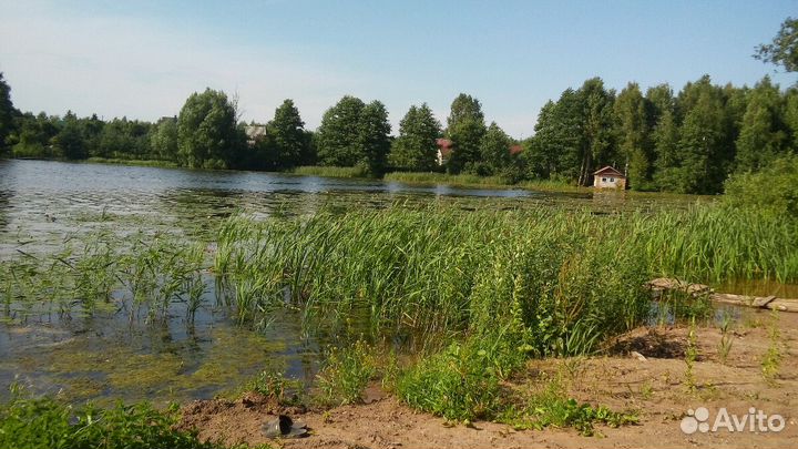 Очистка водоёмов