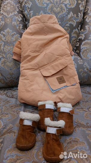 Одежда для собак