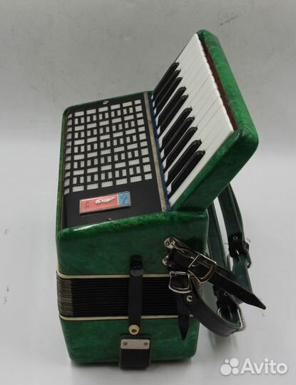 Аккордеон Юность