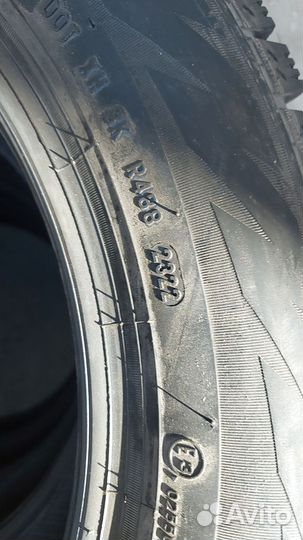 Formula Ice 205/55 R16 91T