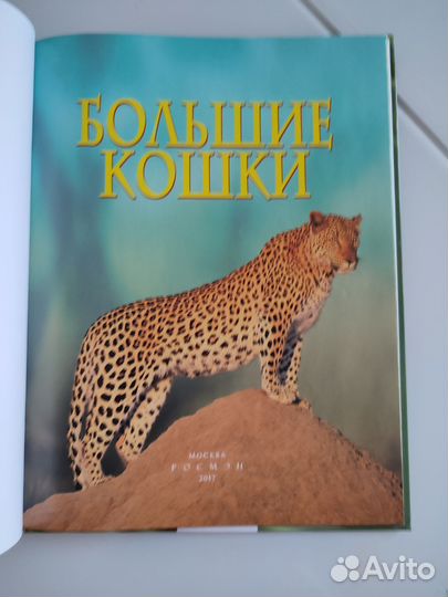 Детская энциклопедия Большие кошки