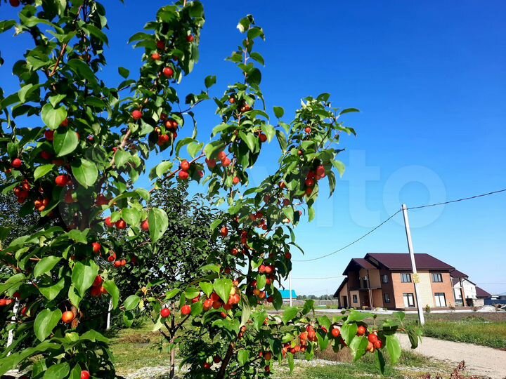 Участок 10 сот. (ИЖС)