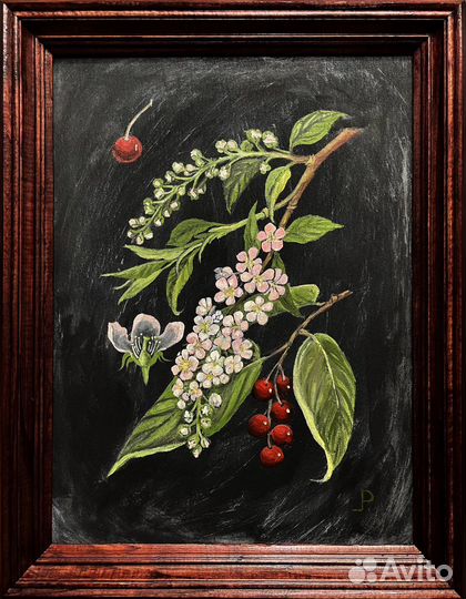 Картина «Черемуха» масло