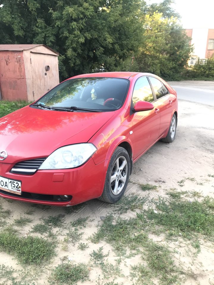 Nissan Primera: фото владельца