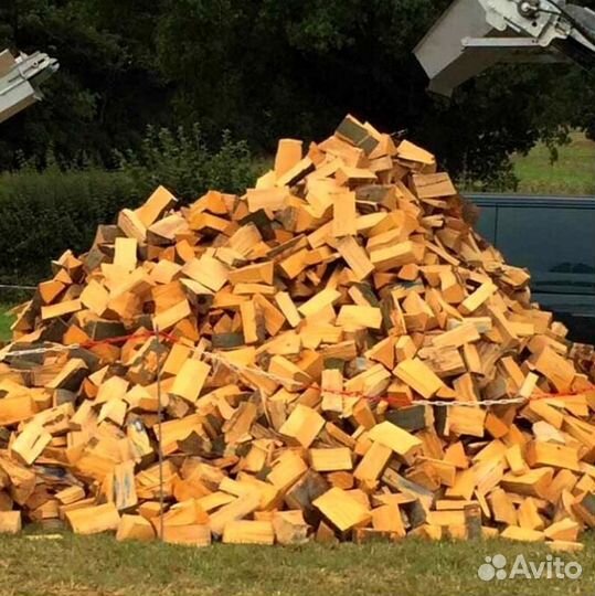 Дрова из леса