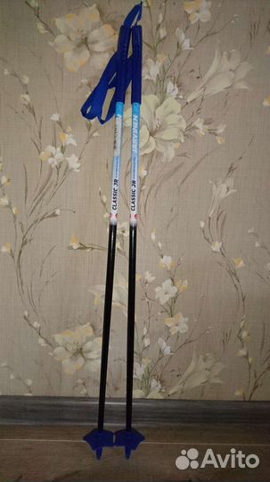 Лыжные палки