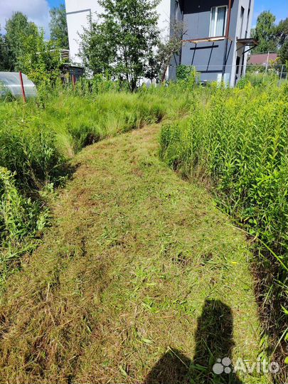 Спил деревьев Покос травы спил вспашка земли