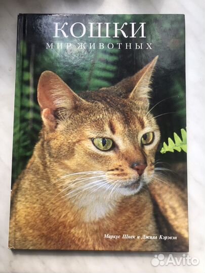 Книга про кошек