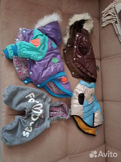 Одежда для маленьких собак,б/у