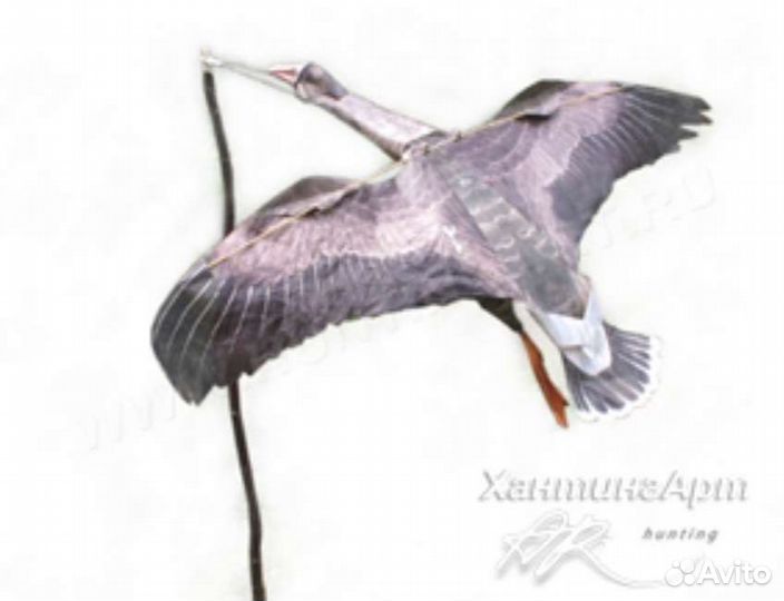 Приманка. Воздушный змей-Белолобый гусь. Приманка