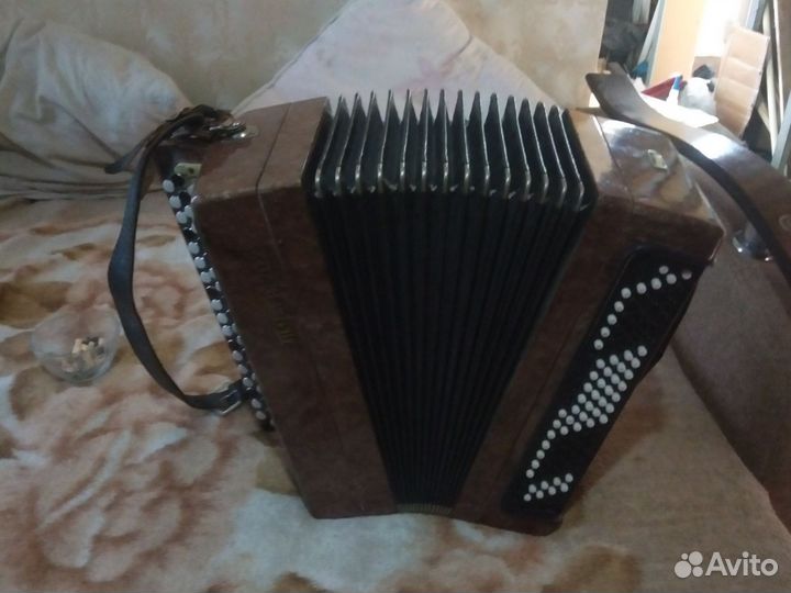 Баян тула 202