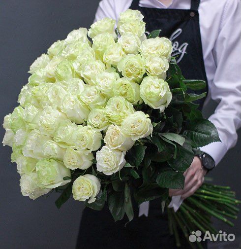 Розы эквадор по штучно доставка 24/7