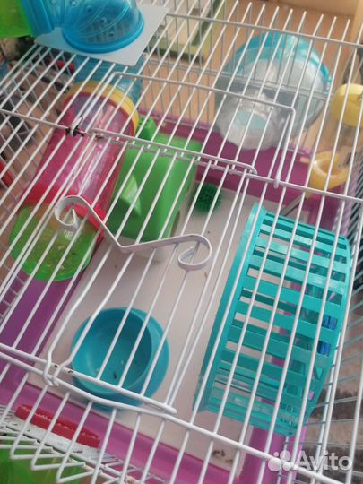 Клетка для грызунов бу