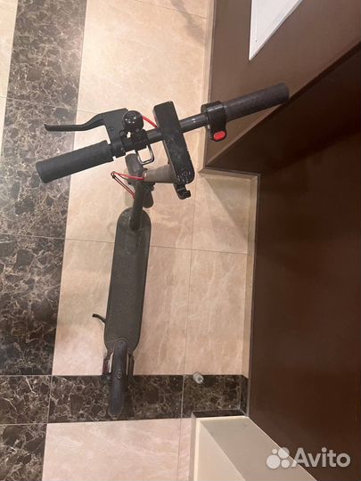Самокат xiaomi m365 pro