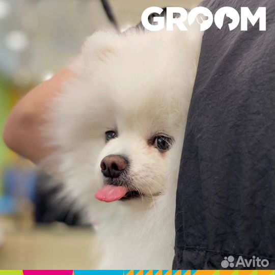 Уход за животными