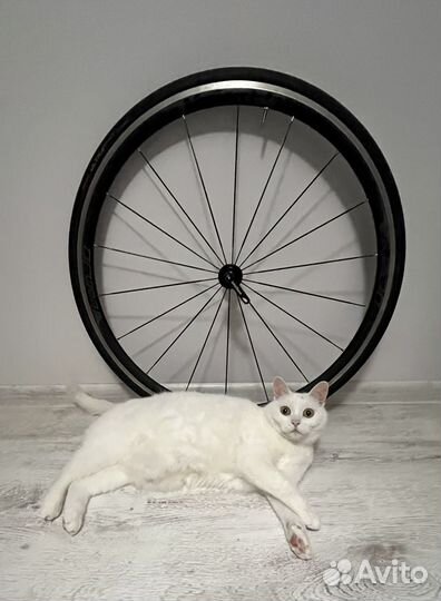 Граната, шатуны, обмотка, колесо