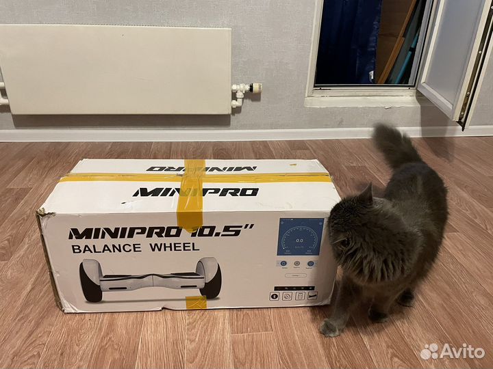 Гироскутер сигвей minipro 10,5