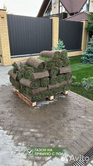 Рулонный газон под ключ