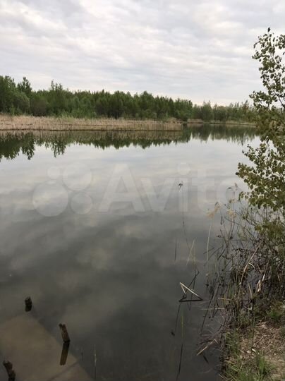 Участок 6,6 сот. (СНТ, ДНП)