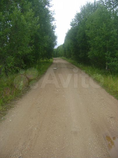 Участок 5,3 га (СНТ, ДНП)