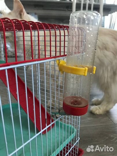 Клетка для грызунов большая