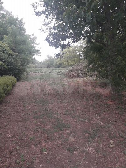 Участок 13,3 сот. (ИЖС)