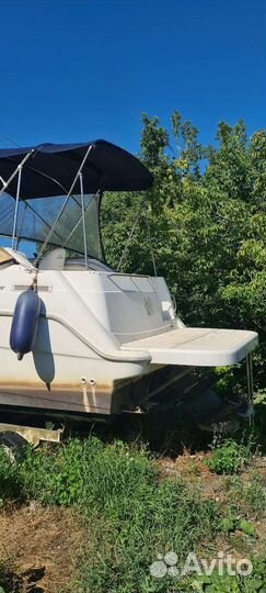 Bayliner 2355 sierra