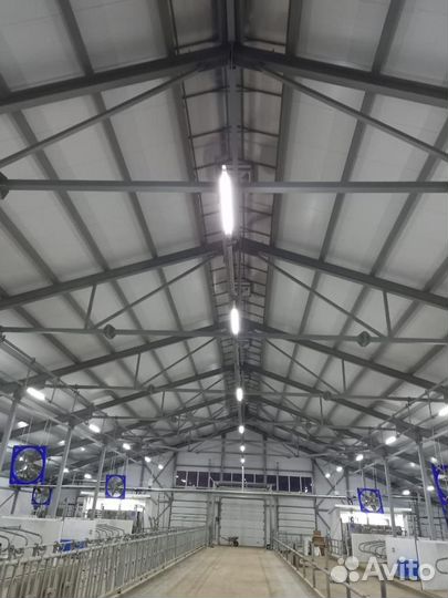 Строительство ферм 100 голов