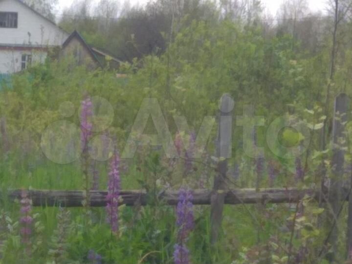 Участок 25 сот. (ИЖС)