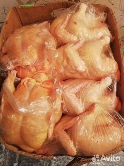 Курица домашняя (халяль)
