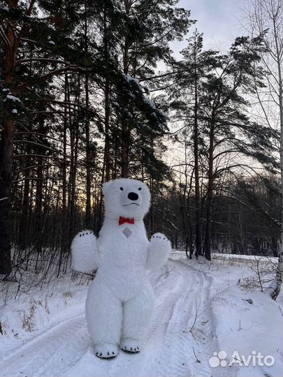 Мишка Умка на праздник