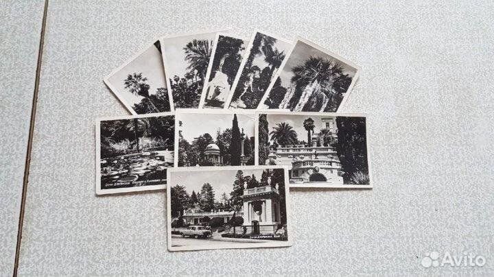 1954 год набор мини-фотооткрыток Сочи-Дендрарий