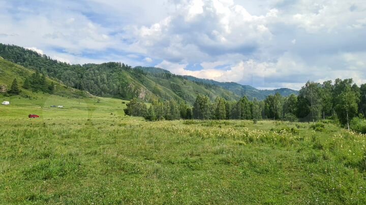 Участок 12 сот. (СНТ, ДНП)