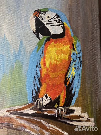 Попугай. Картина акрил