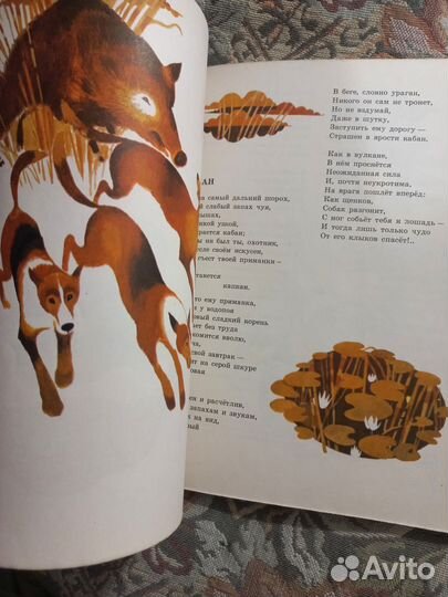 Пиркулиев Джейранья чаша 1978г