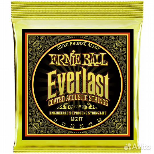 Ernie ball 2558 everlast coated 80/20 bronze light