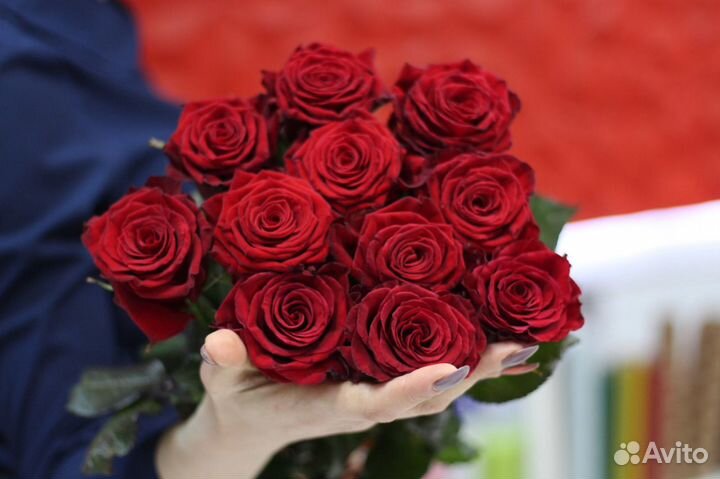 Розы красные 11 шт крупные cорта Sexy Red Букет