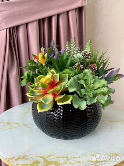 Композиция из суккулентов